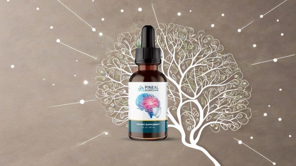 Best Brain Health Supplements 2025