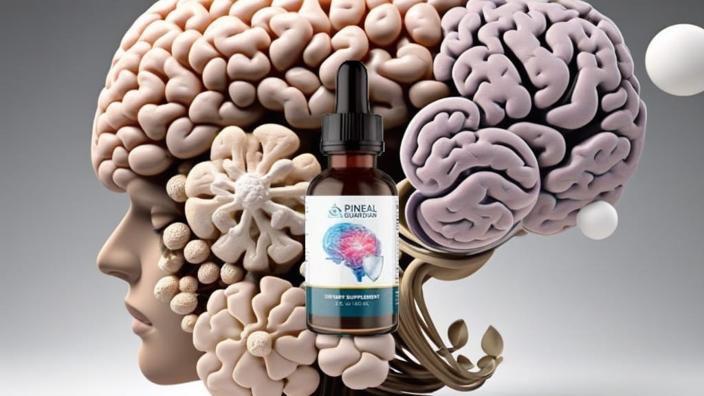 Best Brain Health Supplements 2025